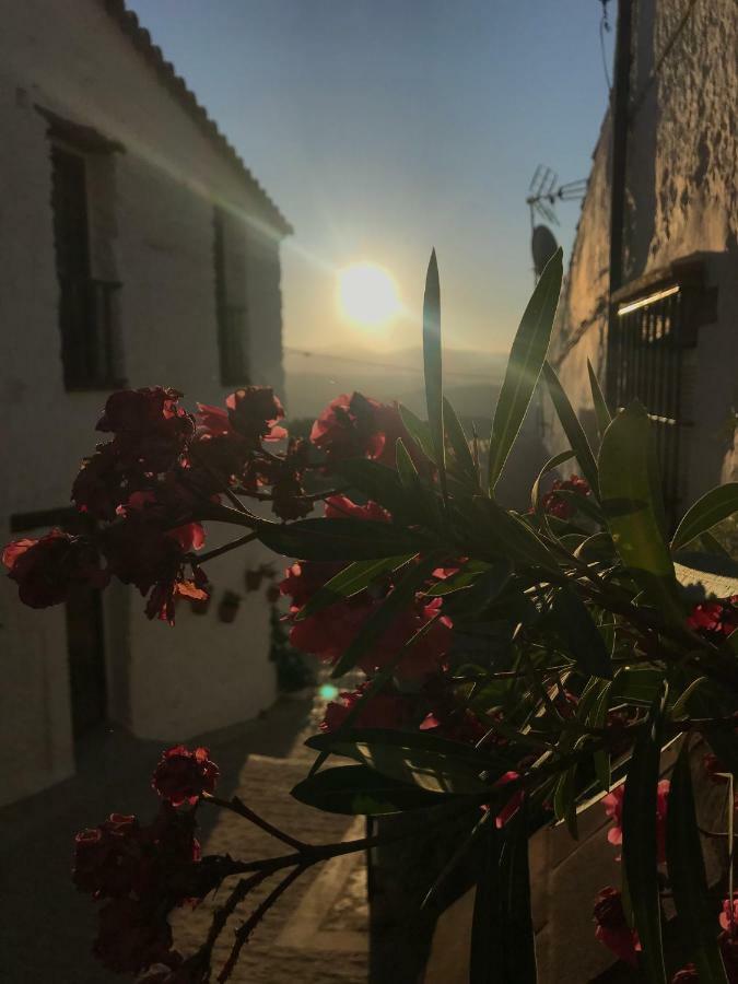 Casa Moraleda Pensionat Benalauría Eksteriør billede